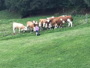 KochGaranas Ferienhaus