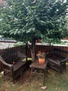 Casa Stana de Vale - 索瓦塔