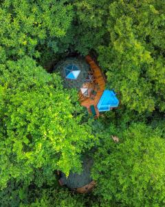 Glamping Martini Kvariati with pool