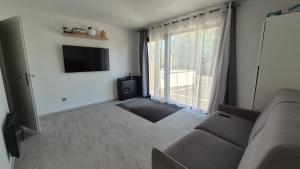 Appartements Loft Zen SPA Balneo Parking Gratuit Sauna Hammam Billard : photos des chambres