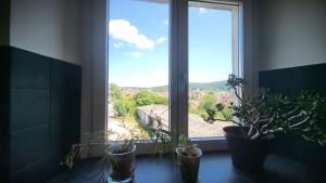 Appartements Appartement du Fort Griffon : photos des chambres