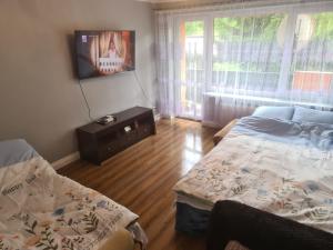 Apartament Mieszkanie do wynajęcia Olivka