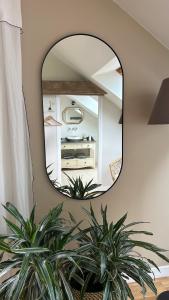 B&B / Chambres d'hotes La Grenouillere - Chambre d'hotes de charme : photos des chambres