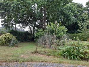 Maisons de vacances la nature : photos des chambres