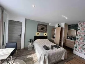 Cosy studio l'éclipse Balneo - Écully