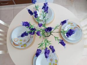 Sunlight Apartment Shkoder