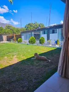 Piedra Verde Huánuco Perú - Naranjillo