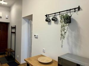 Apartament dwupokojowy 15