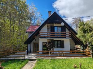 Vlasinsko jezero vila BiLiV