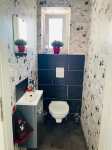 Maisons de vacances Chez L en Alsace Maison independante 8 pers Jardin & Cour privative : photos des chambres