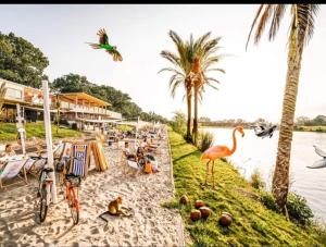 NightHost Kleczkowska 49 m53 Wrocław