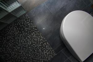 Modernios klasikos studija