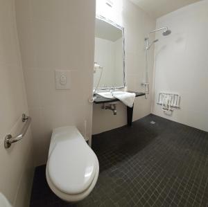 Hotels Hotel Restaurant Champ Alsace : Chambre Triple Confort