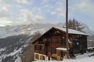 Nest in Crest - 弗拉谢