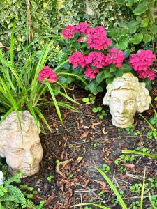 Bijoux Wohnung auf dem Basler Hügel