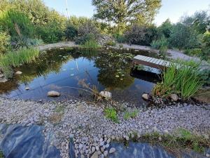 Maisons de vacances Notre nid d'amour - jacuzzi, piscine, billard, bar exterieur, terrain de boules : photos des chambres
