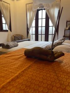 Blue Swan Inn - Apartment