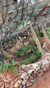 Appartement standing