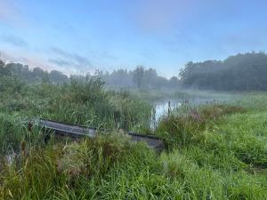 Terra Gratia - namukas Išminčius