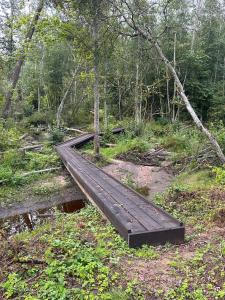 Terra Gratia - namukas Išminčius