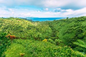 Qamea Island, off Taveuni, Fiji.