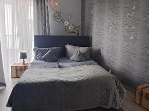 Apartament -Sweet Home