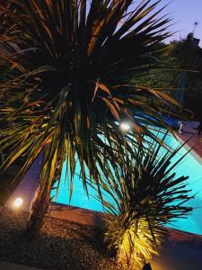 tranquillité et bien être