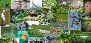 Amaze Residence Luxury Room 4