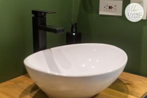 Living Lourdes 64-307