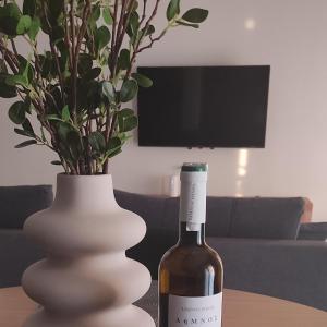 Sea View Urban Apartment