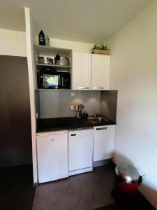 Appartements Residence Les Charmettes - Deux pieces confort MAE-4394 : photos des chambres
