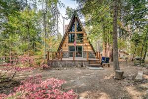 Dogwood Peak Mid-Century A-Frame with AC Style