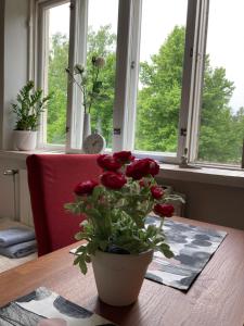 Kodikas pieni koti Hartolan keskustassa