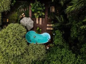 Socialtel Red Frog - Bocas del Toro