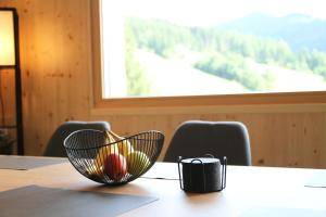 Panorama-Apartment Ennstalblick