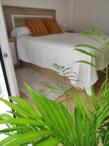 APARTAMENTO BOLBORETA