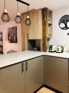 Atuaire Home Visita Museo de la Evolución Humana en Burgos PARKING INCLUIDO