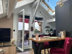 Les Toits du Genevois - 伯尼索米诺格