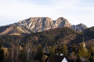 Skyline Luxury Villa with terrace jacuzzi and sauna Zakopane mountains Poland
