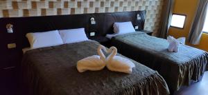 Hotel de Sal Reina del Salar only cash