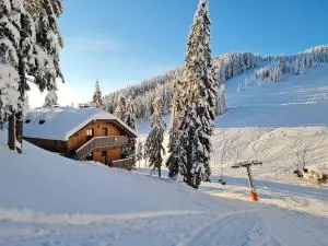 Apartmaji Golob-Golte - موزيريه