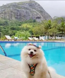 Eco Flat 321 Condomínio Pedra do Rodeadouro - Palmares