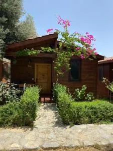 Suzi'nin Bahçesi Bungalov Evler - Döşeme