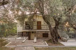 Villa Botanicus - Лучице