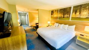 King Studio Suite - Non-Smoking room in Days Inn & Suites by Wyndham Wynne