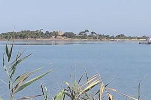 Villa Mozia riserva dello Stagnone