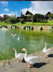 Winterville residence