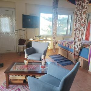 Kyllini am Meer relaxen mit Hund