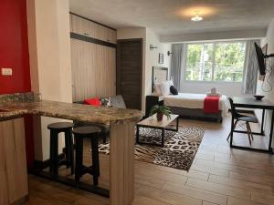 DST1 Convenient studio in zone 15