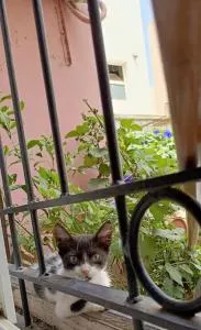 it is a calm place - Ghazoua